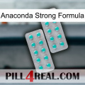 Anaconda Strong Formula 29